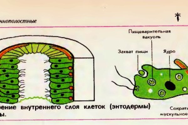 Где купить наркоты